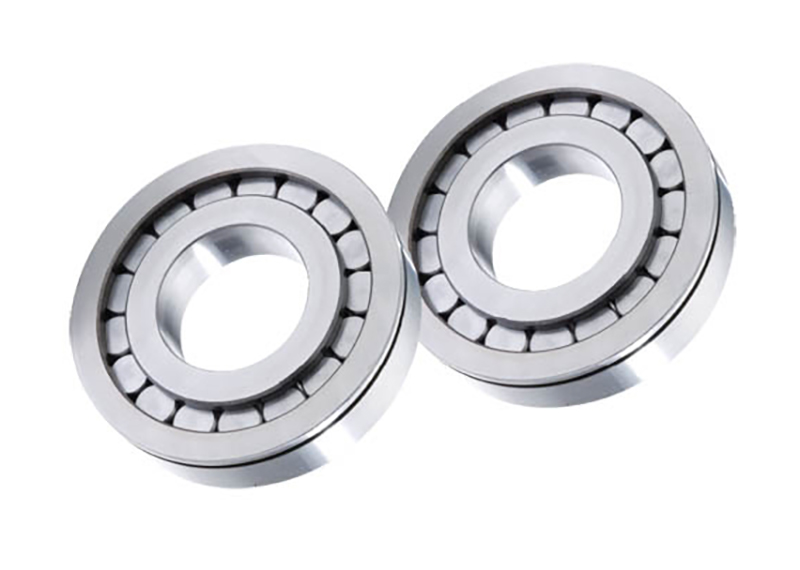 Full Complement Bearings,Full Complement Bearing,Cylindrical roller bearings without cage